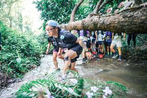 BIB: 
                            <button type="button" onclick="openModal(25467986)" class="btn btn-primary btn-sm float-right btn-popup" data-toggle="modal" data-target=".modal-high-quality">
                        <i class="fas fa-shopping-cart"></i> Add to Cart
                    </button>
                                            <button type="button" onclick="isThisMe(25467986, true)" class="btn btn-success btn-sm float-right btn-popup btn-isme hidden" data-toggle="tooltip" data-placement="bottom" title="นี่คือรูปของคุณใช่ไหม คลิกที่นี่เพื่อเอาเข้าอัลบั้ม">
                        <i class="fas fa-plus"></i> Add to album
                    </button>
                    <button type="button" onclick="isThisMe(25467986, false)" class="btn btn-warning btn-sm float-right btn-popup btn-isnotme hidden">
                        <i class="fas fa-ban"></i> Remove from album
                    </button>